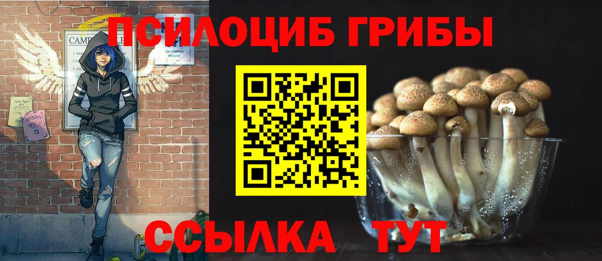 Галлюциногенные грибы мицелий  Галлюциногенные грибы мицелий  Ачинск  Вход с VPN 